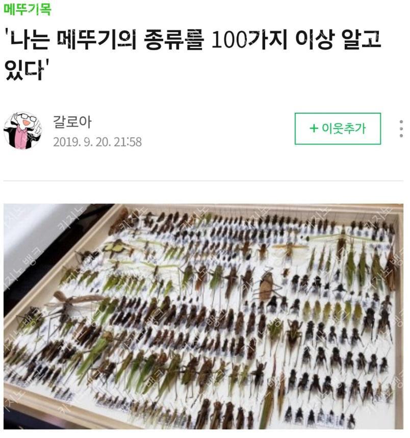 100종류의 메뚜기 사진.jpg