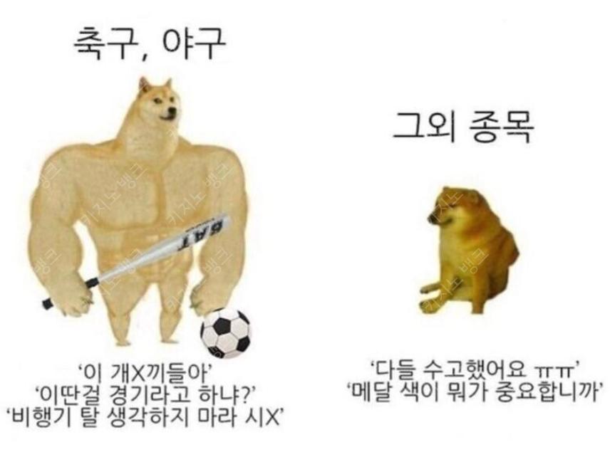 스포츠 인기종목에 대한 한국인들의 엄격함