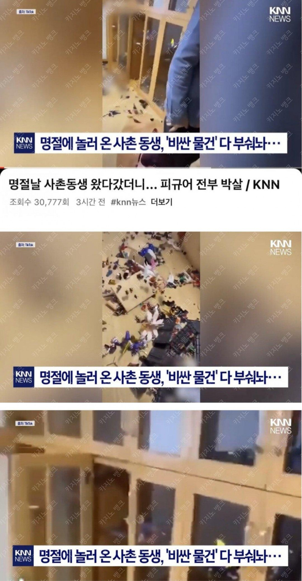 사촌형 피규어 박살냈다가 3500만원 합의