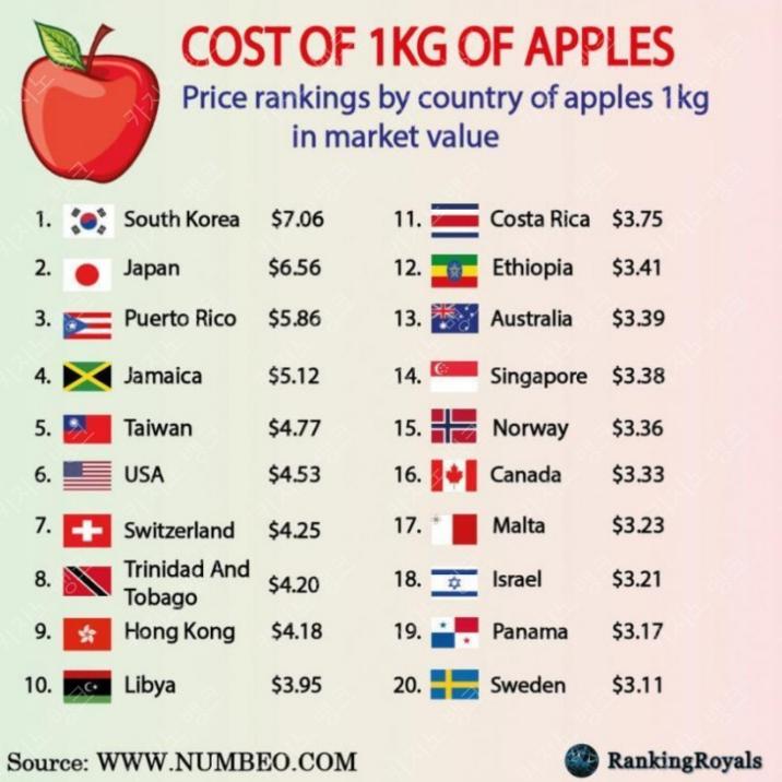 전세계 사과가격 순위