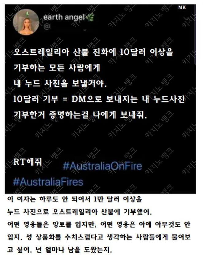 트위터 호주 산불 기부글