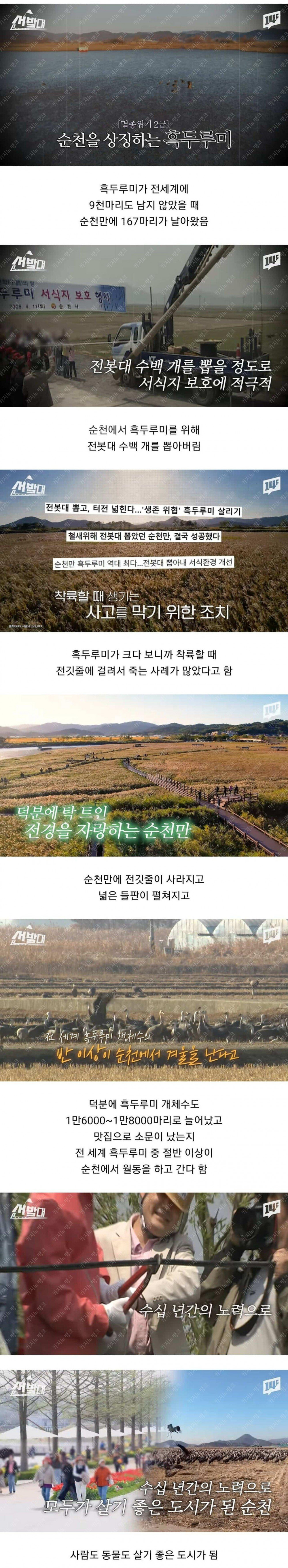 순천이 전봇대 수백 개를 뽑아버린 이유.jpg